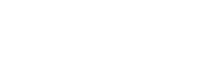 TIBIOT（沿用标识）